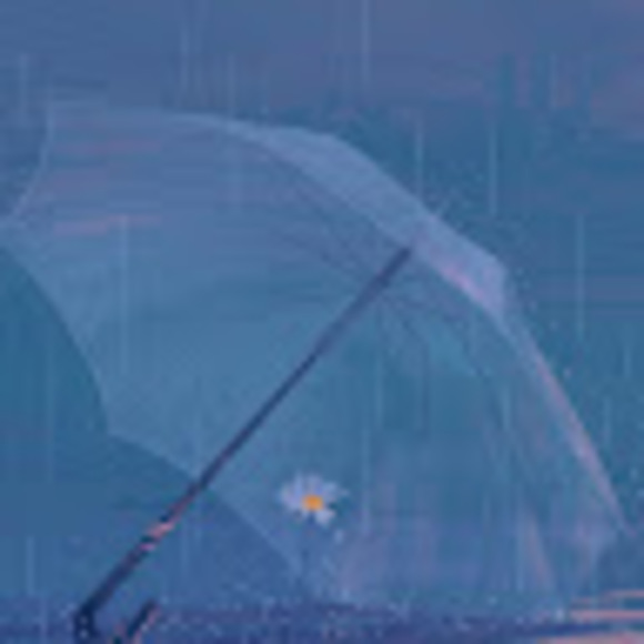 Meet your Posher, Sofía - Picture 1 of 1